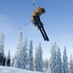 Borealis *