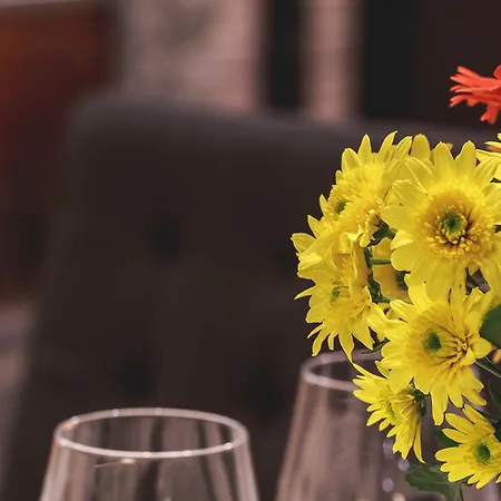 Βίλα Borealis Sappee