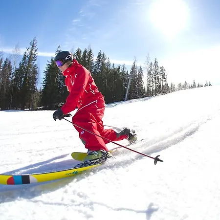 Borealis Βίλα Sappee