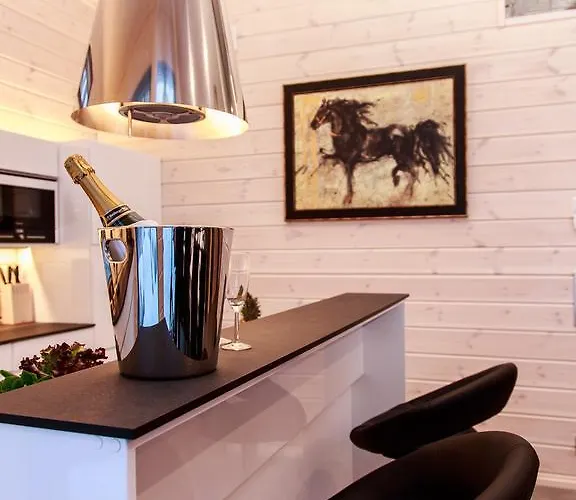 Huvilat Borealis Sappee