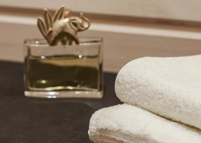 别墅 Borealis Sappee