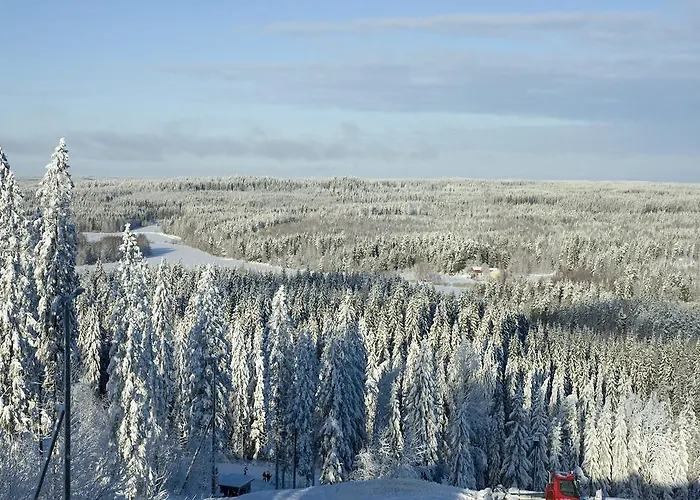 Huvilat Borealis Sappee